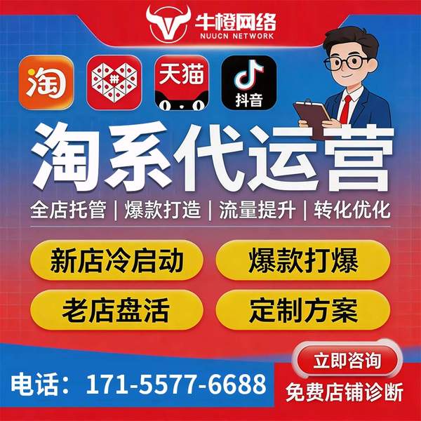 禹州电商代运营