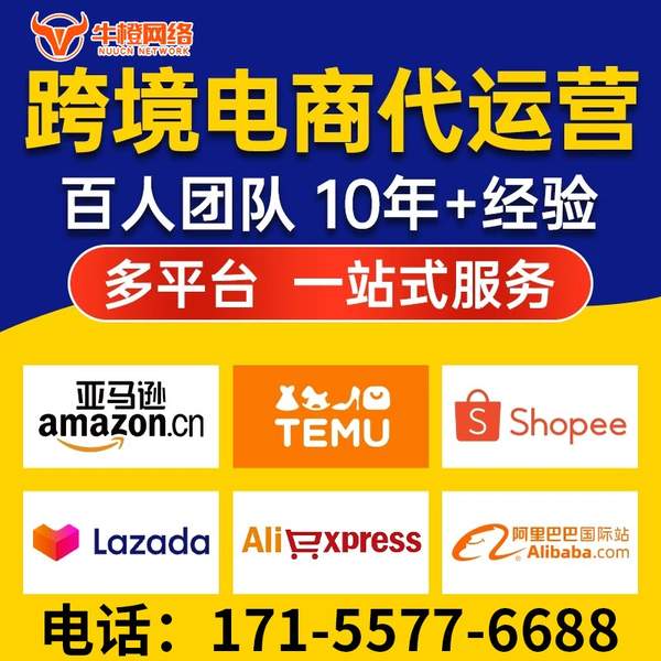 禹州电商代运营