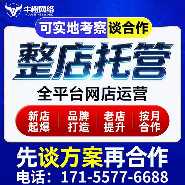 禹州电商代运营