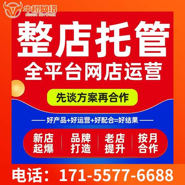 禹州电商代运营