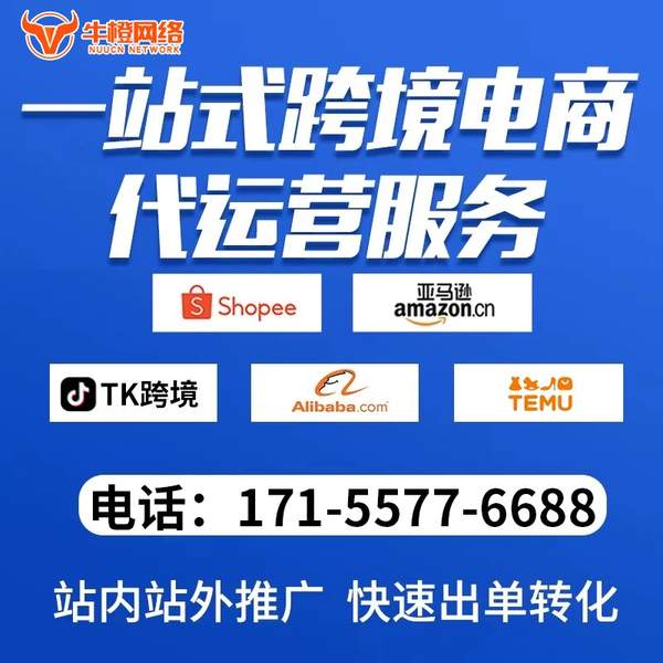 禹州电商代运营