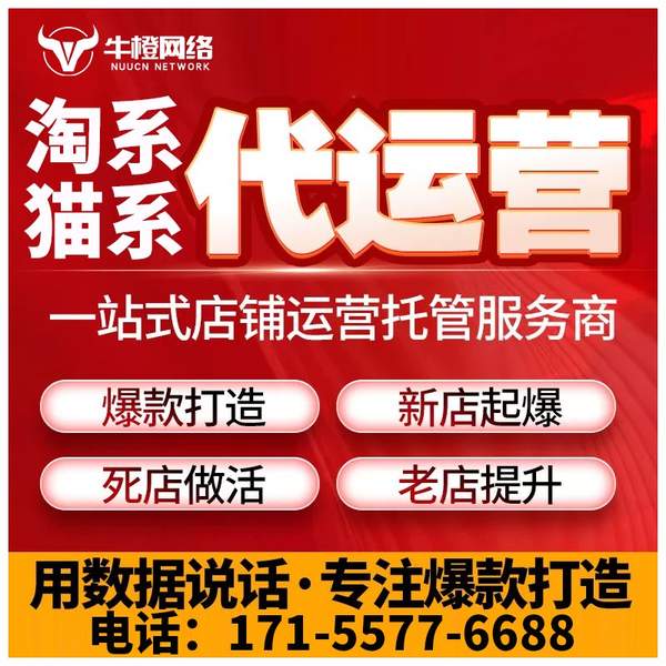 禹州电商代运营
